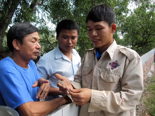 Anh Phạm Văn Việt (phải) giới thiệu mô hình nuôi nhông thương phẩm trên cát.