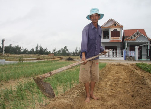 Anh Phan Văn Dũng trồng rau trên đất bỏ hoang trong khu dân cư. Ảnh: T.V