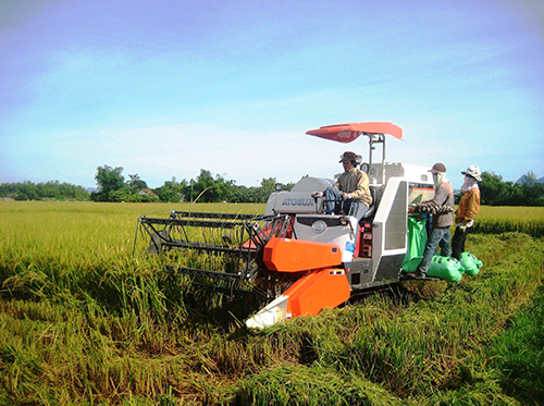 Năm 2012, nông dân toàn tỉnh mua 96 máy cày 4 bánh để phục vụ khâu làm đất.