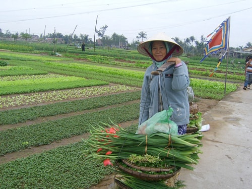 Rau Trà Quế đã trở thành thương hiệu uy tín.