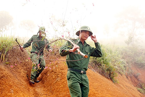 Cành đào rừng mang không khí Tết đến với chiến sĩ làm nhiệm vụ ở  miền biên cương. Ảnh Nguyễn Thành