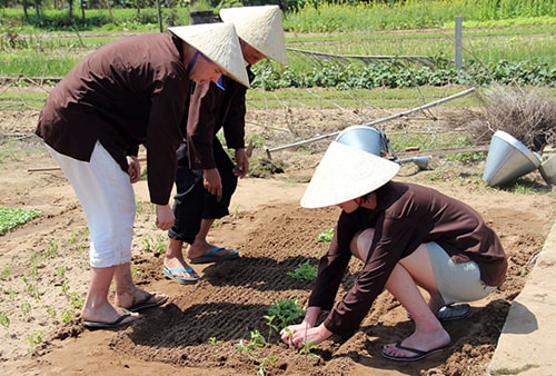 Du khách nước ngoài thích thú khi hóa thân thành cư dân làng rau Trà Quế.