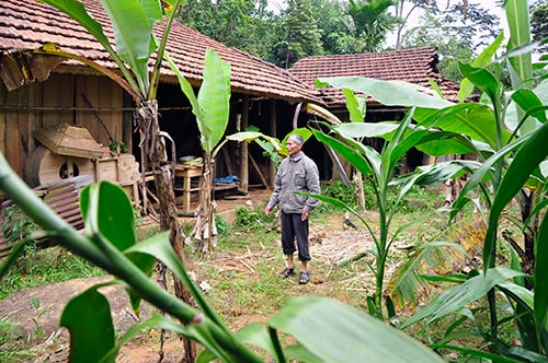 Ngày trước, căn nhà này của ông Mịch hơn 40 lần bị địch đốt phá.