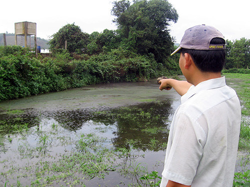 Đám ruộng hơn 2 sào của ông Nguyễn Hùng đã biến thành hồ chứa chất thải của Công ty TNHH chăn nuôi Hùng Vân, không gieo sạ được. Ảnh: P.T