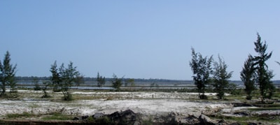Vùng cát Kỳ Anh bây giờ.