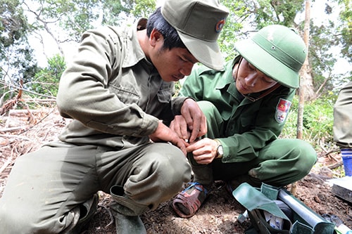 Quân y chữa vết thương cho bạn bị rết độc cắn.