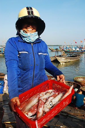 Và mực câu cũng khá nhiều, to.