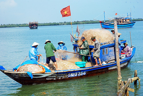 Khai thác bền vững hải sản ven bờ tại Quảng Nam. Ảnh: MINH HẢI