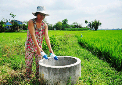 Tình trạng vứt bừa bãi chai lọ đựng thuốc trừ sâu trên đồng ruộng không còn nữa. Ảnh: VINH ANH