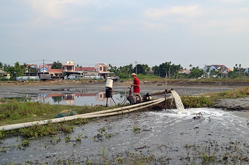 Người nuôi tôm đang gấp rút cải tạo ao nuôi.Ảnh: NGUYỄN QUANG VIỆT