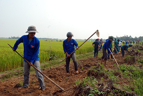 Đoàn viên thanh niên Núi Thành làm đường giao thông nội đồng tại thôn Phú Trung (Tam Xuân 1).