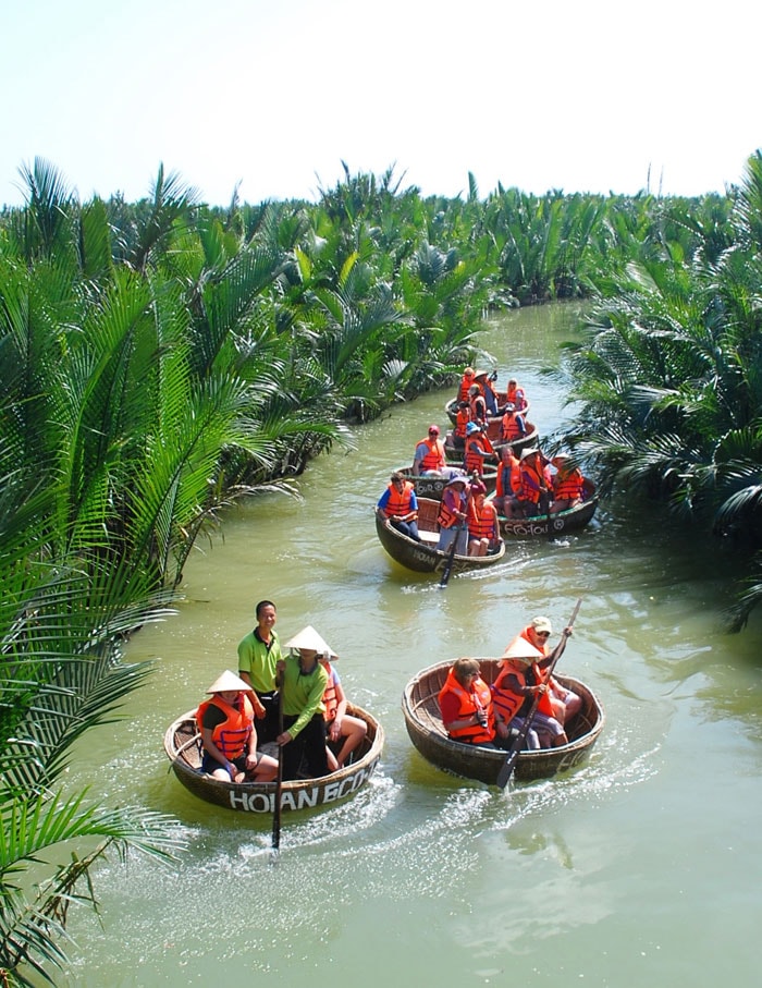 Diện tích dừa nước phát triển cũng “hấp dẫn” dịch vụ mới của ngành du lịch ở Hội An.