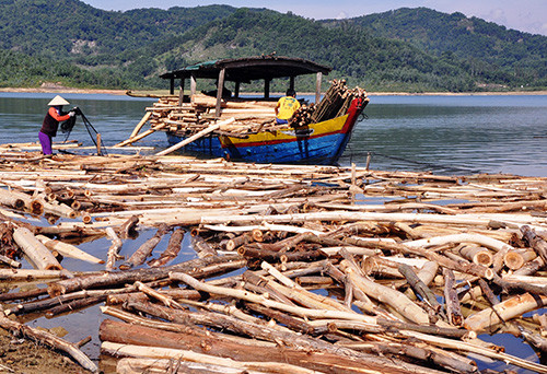Tình trạng khai thác, vận chuyển gỗ trái phép vẫn phức tạp ở lưu vực rừng phòng hộ Phú Ninh.