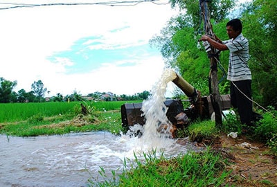 Miễn thủy lợi phí đối với toàn bộ diện tích đất nông nghiệp được Nhà nước giao. 