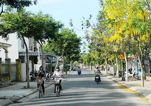 Hội An sẽ có thêm một điểm nhấn trong lòng du khách nếu biết phát huy vẻ đẹp của những loài cây trên các con đường. Ảnh:  SONG ANH