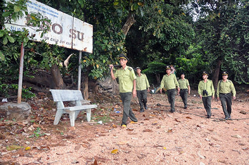 Kiểm lâm tuần tra trong khu vực đảo Su, thuộc rừng phòng hộ Phú Ninh. Ảnh: T.H