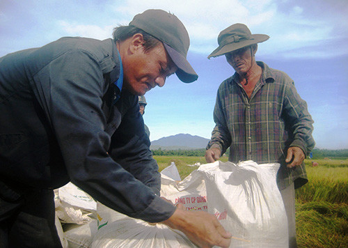Dù được mùa nhưng nông dân không vui vì giá lúa thương phẩm liên tục giảm mạnh.Ảnh: VĂN SỰ
