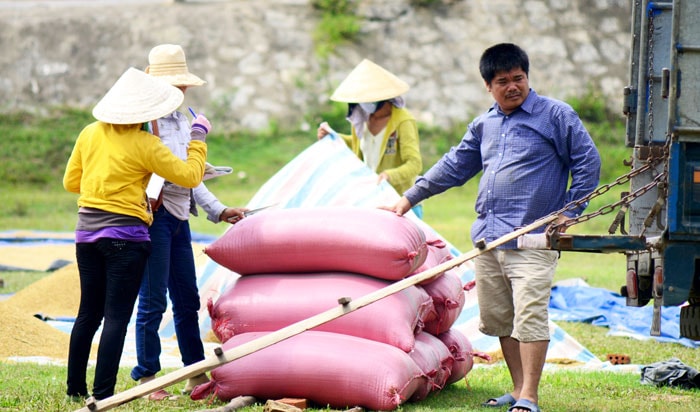  Các thương lái đến từng xóm làng để thu mua nông sản.