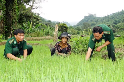 Bà Y Ngói: “Có ruộng lúa này là do bộ đội giúp khai phá ra đó”. Ảnh: T.K