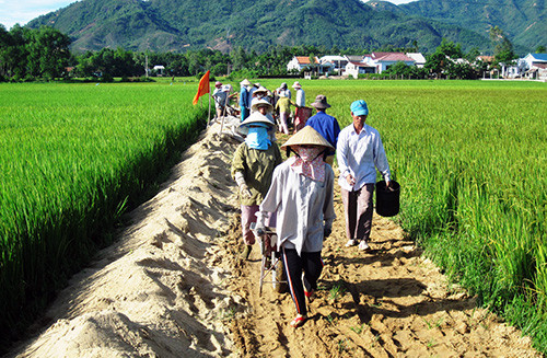  Quy hoạch phát triển hạ tầng giao thông là khâu quan trọng trong xây dựng NTM. Ảnh: ĐẠO  SỰ