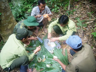 Phút ăn uống, nghỉ ngơi của kiểm lâm địa bàn trong Khu Bảo tồn thiên nhiên Sông Thanh. Ảnh: H.P