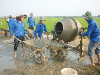 Đoàn viên, thanh niên là lực lượng nòng cốt trong chương trình phối hợp hành động phát huy vai trò của thanh niên tham gia xây dựng và phát triển kinh tế tập thể. Ảnh: N.D