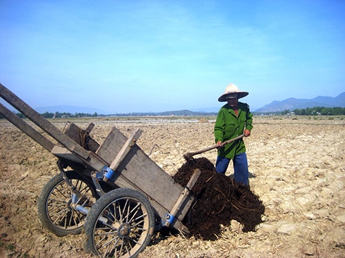 Nhiều cánh đồng ở xã Điện Ngọc cày xong để đó vì thiếu nước. Ảnh: Văn Sự