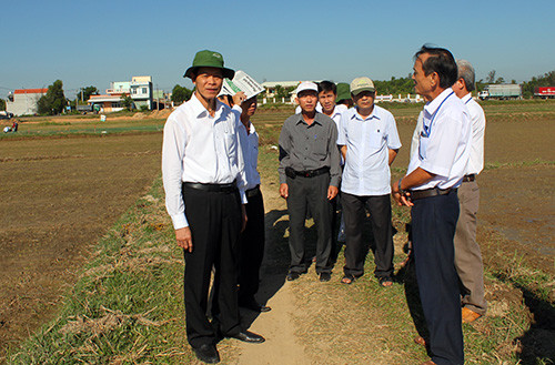 Phó bí thư Thường trực Tỉnh ủy Nguyễn Văn Sỹ khảo sát cánh đồng mẫu lớn tại thôn Thuận An, xã Tam An