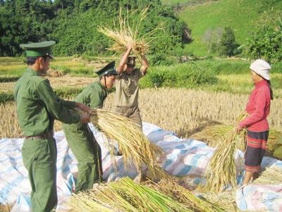 Bộ độ giúp dân thu hoạch lúa. Ảnh: MINH ĐỨC