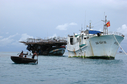 Mặc dù gặp nhiều khó khăn nhưng ngư dân Quảng Nam vẫn kiên tâm vươn khơi, bám biển. Ảnh: N.Q.V