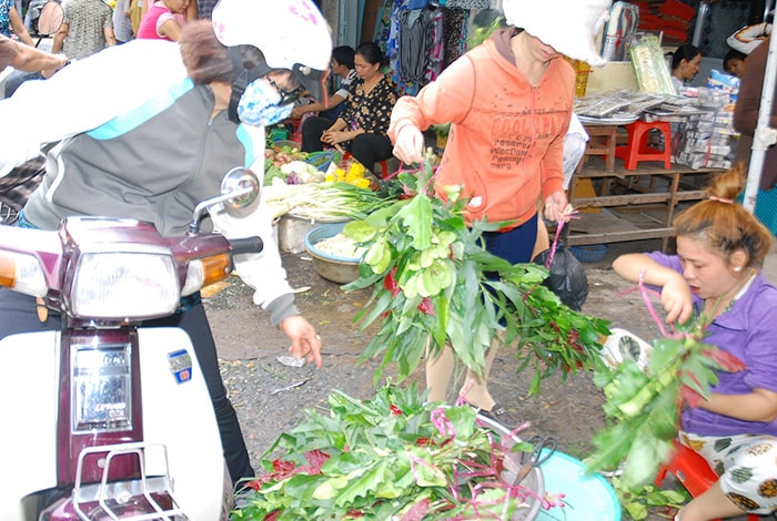 Lá mùng 5 cũng là thứ không thể thiếu trong tục lệ cúng Đoan Ngọ của bà con. Giá mỗi bó lá được bán 15.000 đồng, bao gồm lá ổi, sả, và một số loại lá có gai và mùi thơm. Những nhánh xương rồng để trừ tà cũng được bán với giá 10.000 đồng/1 nhánh. 