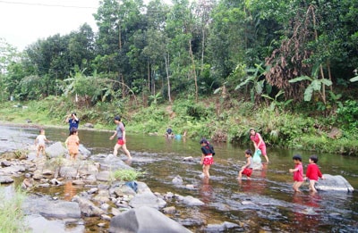 Sinh thái miền núi. 