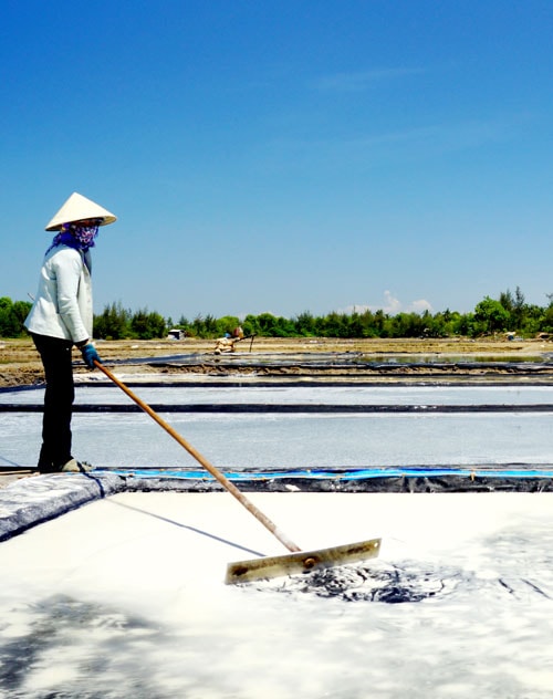 Để hột muối trắng sạch, diêm dân phải dùng cào gạt bỏ lớp bọt bẩn nổi lên trên mặt ruộng muối. Họ lao động dưới cái nắng gần 40 độ C.