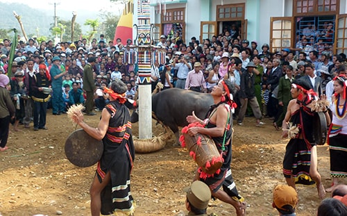 Tái hiện lễ đâm trâu của người Co, một phương cách bảo tồn bản sắc văn hóa của đồng bào.                                                                 Ảnh: S.ANH