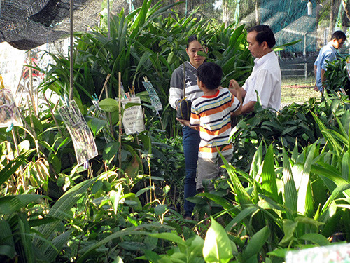 Khách hàng chọn mua giống cây trồng tại gian hàng Thanh Hương tại Hội chợ công thương miền Trung - Tây Nguyên Quảng Nam 2013.
