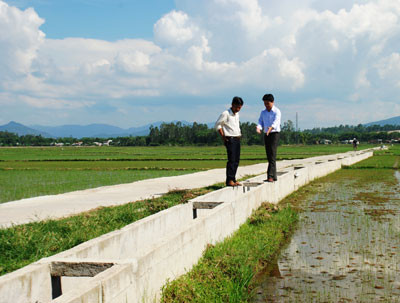 Thời gian qua, xã Đại Phong rất chú trọng bê tông hóa giao thông nông thôn kết hợp với giao thông nội đồng và kiên cố kênh mương. Ảnh: Đ.S