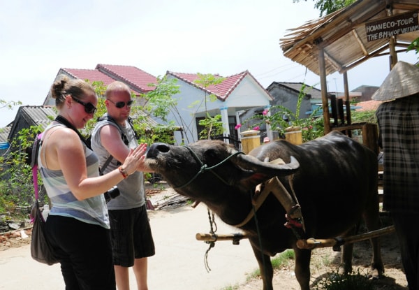 Making friend with a “Vietnam countryside’s BMW”.