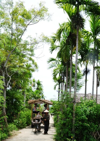 The ecological space of Vietnam countryside.