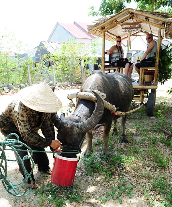 Phút dừng nghỉ.