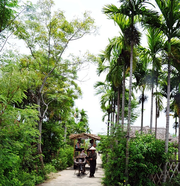 Qua những miền quê.