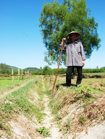 Hồ chứa nước cạn kiệt khiến không ít tuyến kênh ở Núi Thành trơ đáy. Ảnh: Đ.S