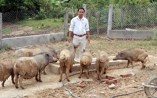 Việc hỗ trợ sinh kế cho đồng bào tại Nam Giang trở nên cấp thiết. Ảnh: H.LIÊN