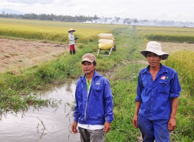 Nông dân Tứ Chánh chịu khó làm ăn, nên thoát nghèo rất nhanh. Ảnh: T.B.H