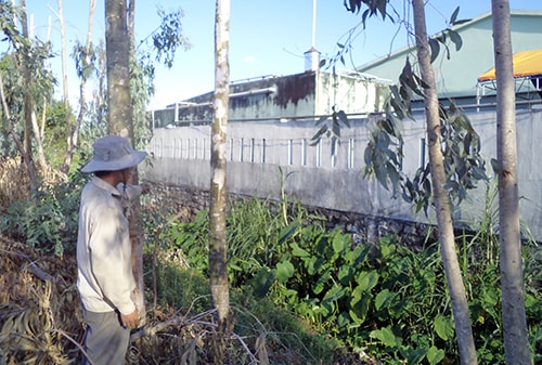 Thời gian gần đây, Công ty Việt Quang liên tục bị người dân khiếu kiện vì mùi hôi thối bốc ra trong quá trình sản xuất.                                                                                                                                                                                         Ảnh: HỒNG ANH