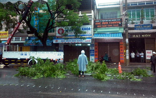 Lực lượng quản lý đô thị của TP.Tam Kỳ cưa những nhánh cây lớn tránh gãy đổ trên đường Phan Châu Trinh. Ảnh: Nguyễn Dương