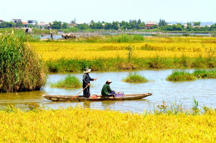 Sông nước ở phá Tam Giang thật tuyệt đẹp và yên bình!