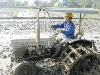 Với những dịch vụ nông nghiệp, phi nông nghiệp đa dạng, HTX Duy Sơn II đang khẳng định vai trò “bà đỡ” cho nông dân. Ảnh: N.D