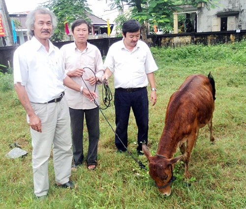 Trao bò hỗ trợ gia đình ông Ngô Hùng (giữa), thôn Phú Quý 3, xã Tam Mỹ Đông.