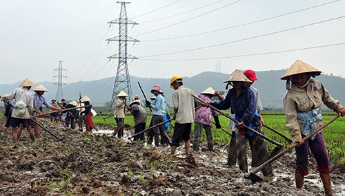 Nhờ làm tốt công tác dân vận, chủ trương dồn điển đổi thửa được nhân dân xã Duy Sơn tích cực hưởng ứng thực hiện. Ảnh: VINH ANH