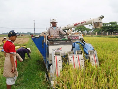 Ngân hàng ngại cho vay vì lĩnh vực nông nghiệp, nông thôn lợi nhuận ít, nhiều rủi ro.Ảnh: T.D